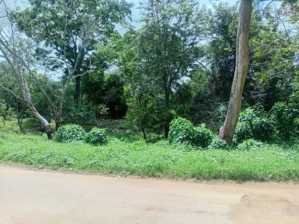 Commercial & Industrial Land