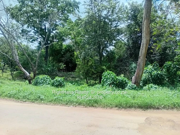 Tree-lined 8,094 sqm Commercial Land, Tarred Main Road Frontage