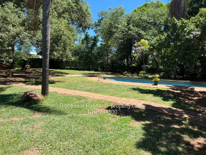 Walled 4-Bed Home with Lush Garden in New Alexandra Park (Sole Mandate)