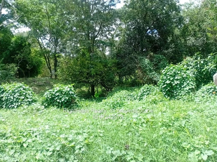 Tree-lined 8,094 sqm Commercial Land, Tarred Main Road Frontage